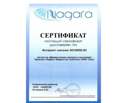 Душевая стенка SSWW LA60-Y10 70 см