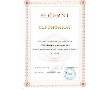 Душевая дверь в нишу ESBANO-70LD R 70 см правая
